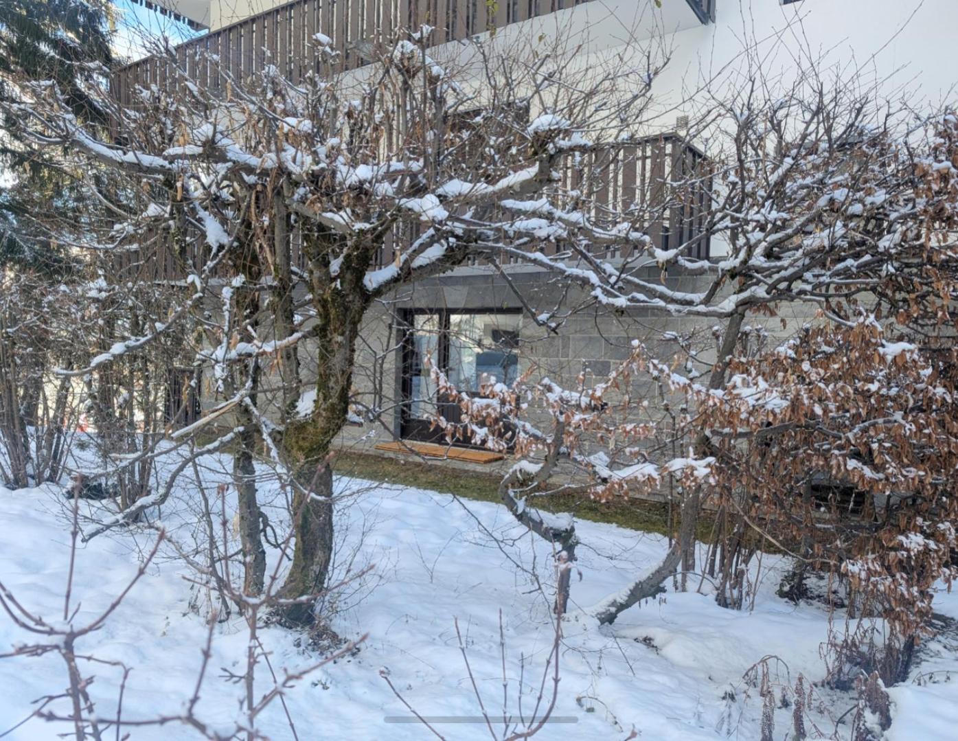 Au Petit Bois Apartment Chamonix Bagian luar foto
