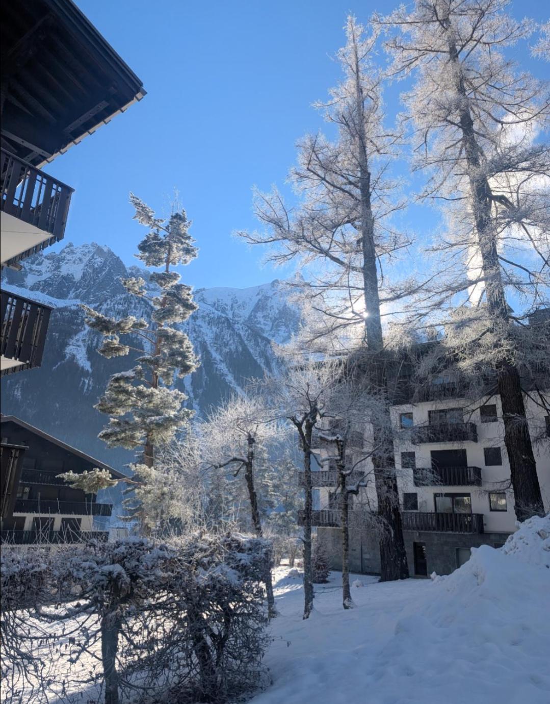 Au Petit Bois Apartment Chamonix Bagian luar foto